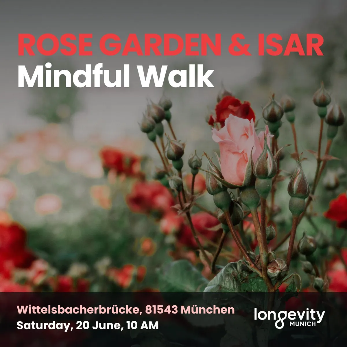 ROSE GARDEN & ISAR Mindful Walk
