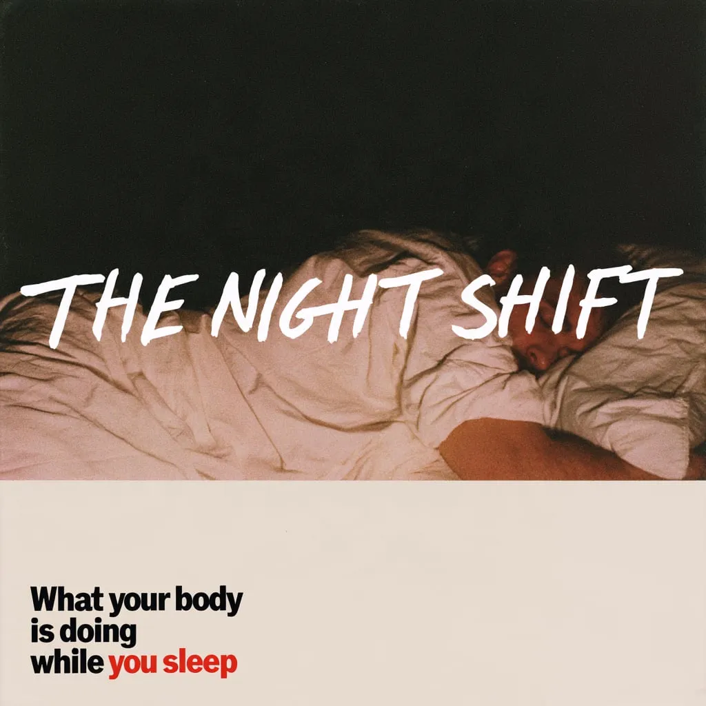 The Night Shift: What your body is really doing while you sleep